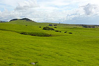 Havajské ostrovy - Kohala Mountains