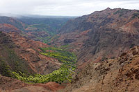 Kauai - Kokee State Park