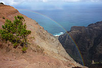 Kauai - Kokee State Park