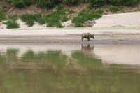 Mekong life