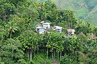 Batad Rice Terraces